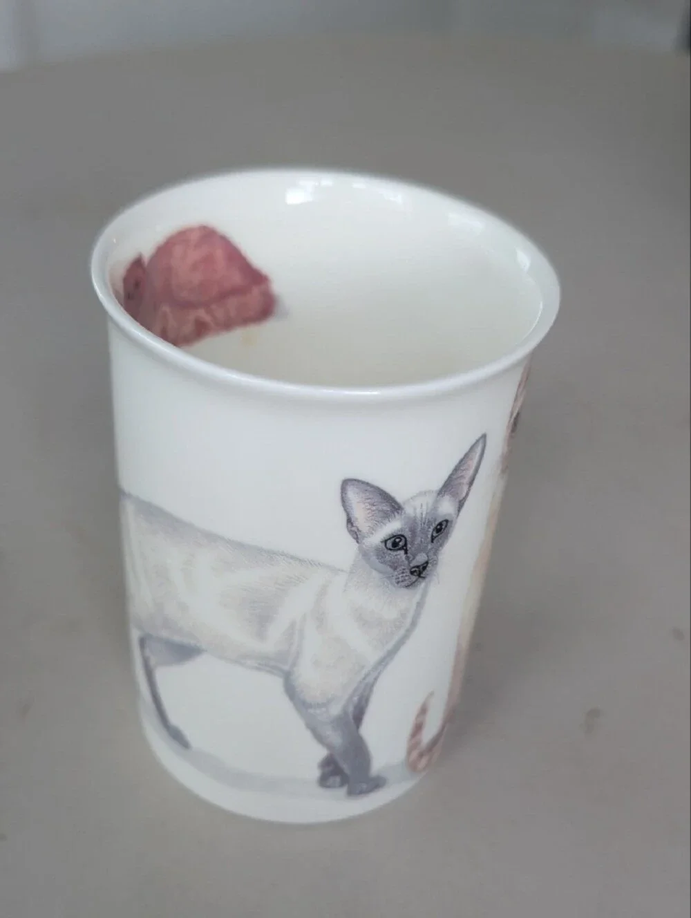 Henley Collection England Ceramic Cat & Dog Pet Lover White Mug Classic